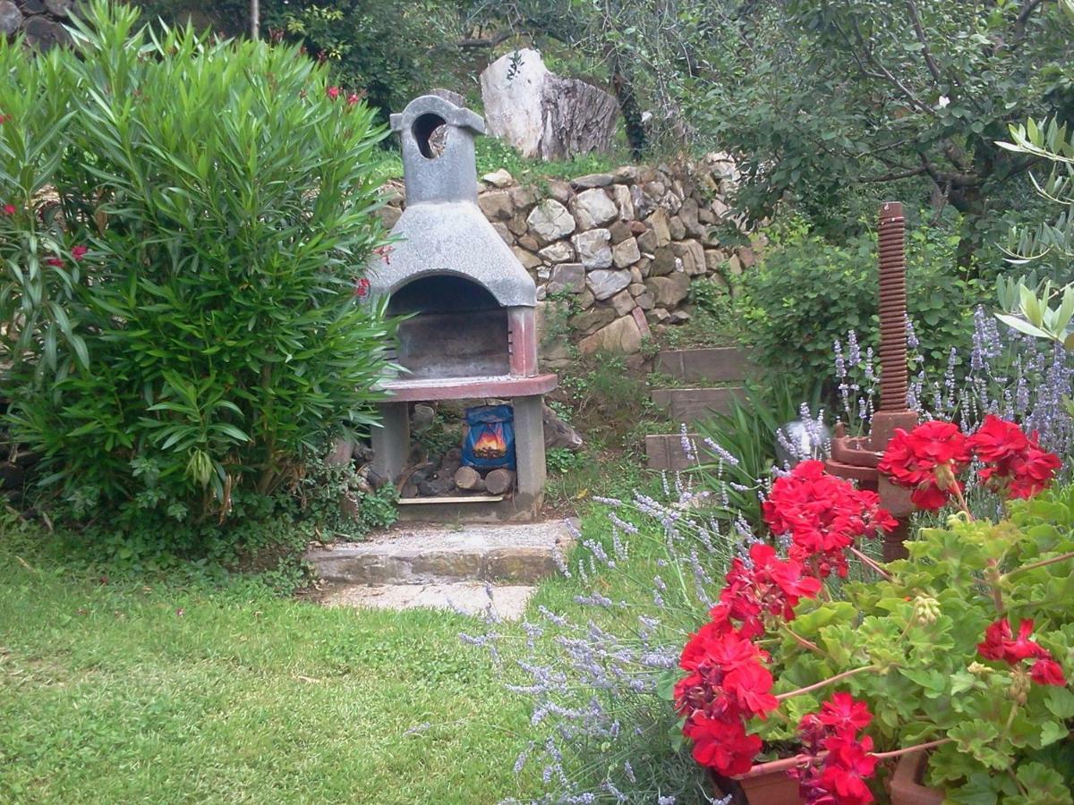 Villa Casa Teresina à Collodi Extérieur photo